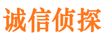 扶绥寻人公司